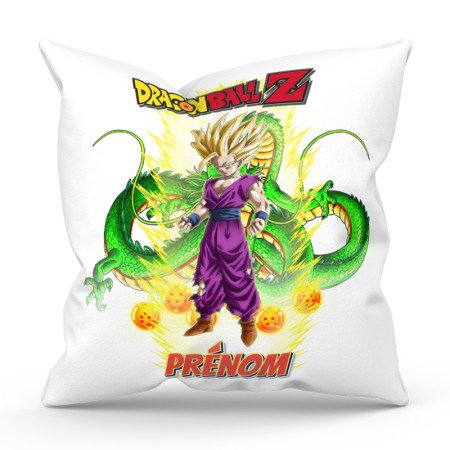 Coussin personnalisé Dragon ball avec Sangohan